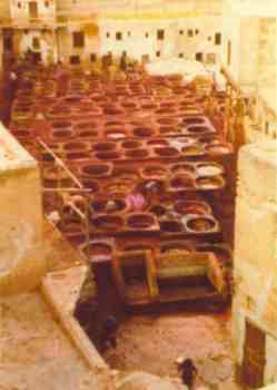 The Tannery - Dozens of round open pits