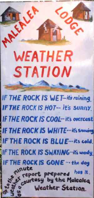 Next morning, having consulted the local weather forecast